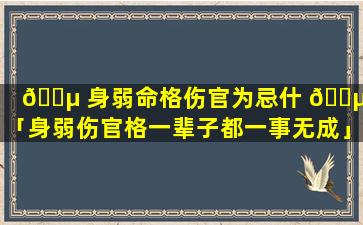 🌵 身弱命格伤官为忌什 🐵 么「身弱伤官格一辈子都一事无成」